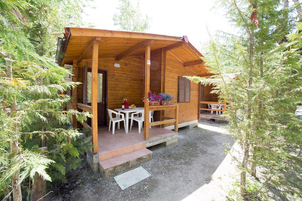 Camping Dei Tigli * Torre del Lago Puccini